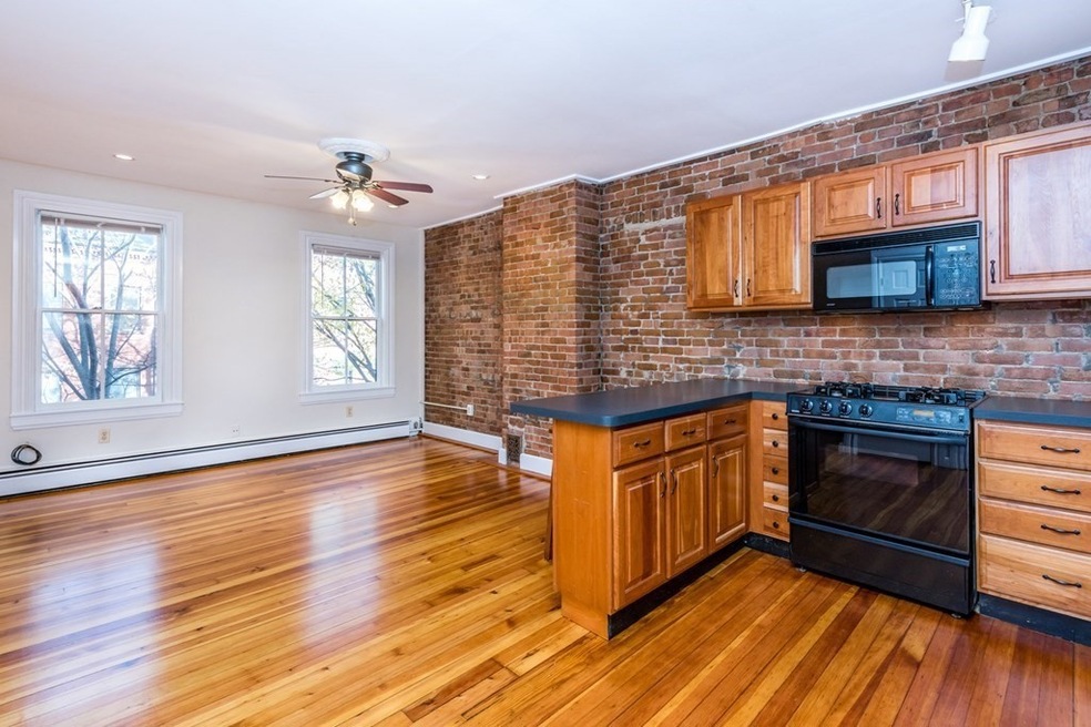 33 E Springfield St unit 2, Boston, MA 02118 - photo 1