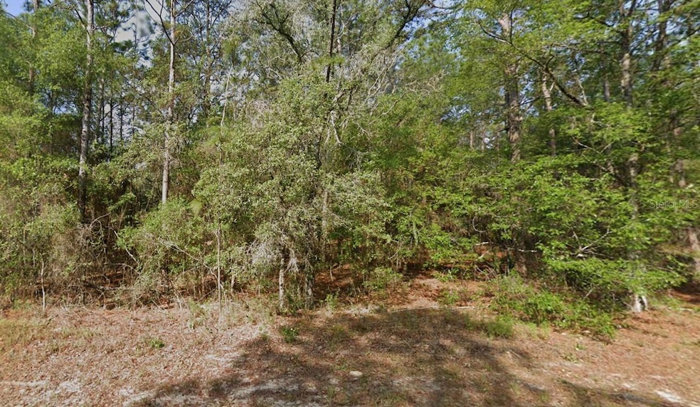 Sold $19,500 • Co-Listing Agent