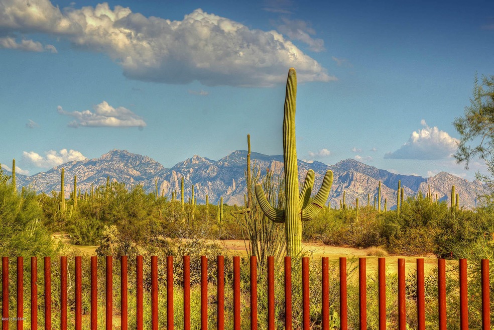 Catalina Mountain Views