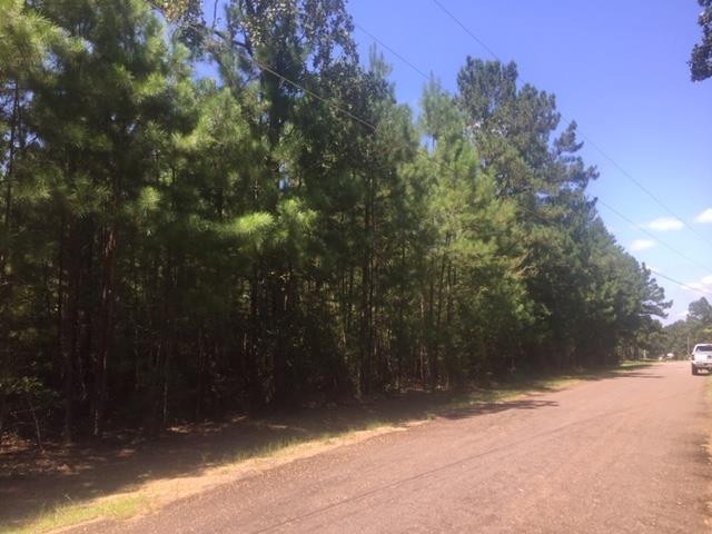 .. Ridgewood Dr, McComb, MS 39648 - photo 1