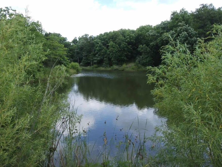 000 E Flick Ave, Worthington, MO 63561 - photo 1