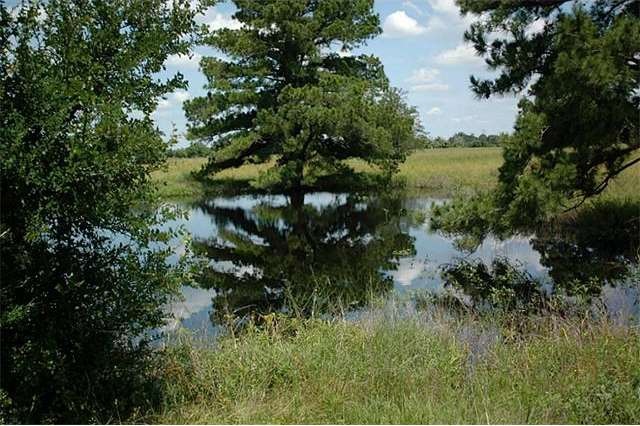 One of two ponds on property!