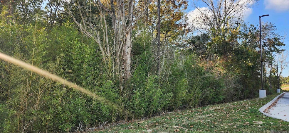 TBD Greenwell Springs Rd, Baton Rouge, LA 70739 - photo 1