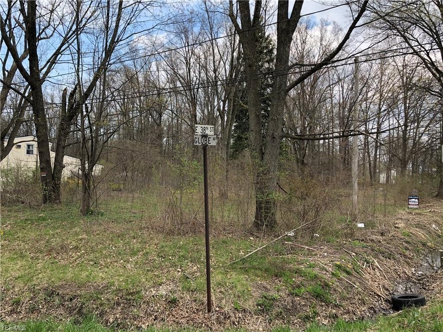 0 Globe Ave, Lorain, OH 44055 - photo 1