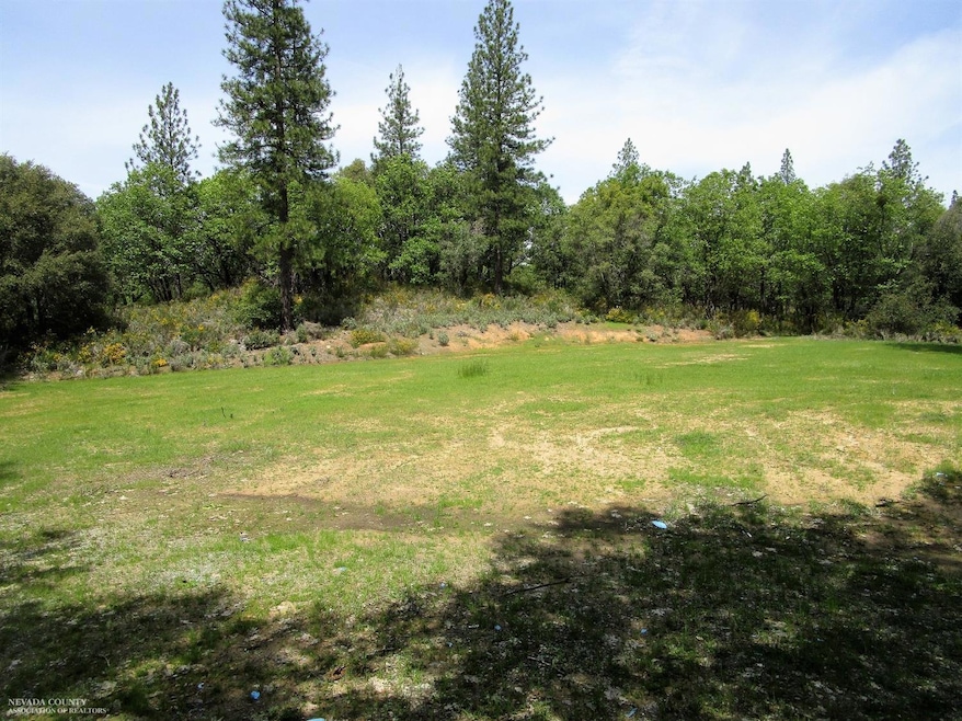 24271 Hoyt Crossing Rd, North San Juan, CA 95960 - photo 1