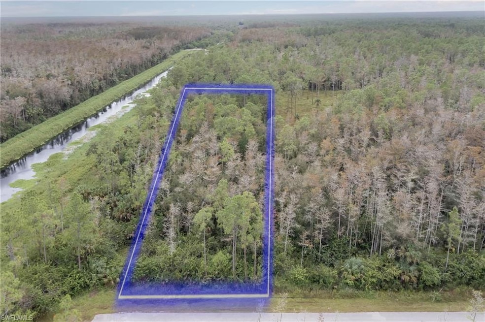 Drone / aerial view with a wooded view and a water view