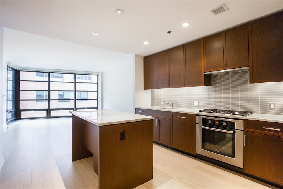 Millenium Place unit 304, Boston, MA 02111 - photo 1