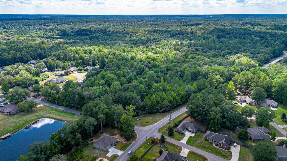 DJI_0224