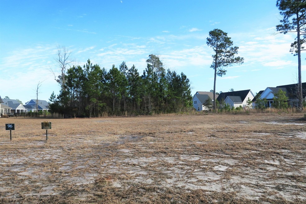 1419 Cross Water Cir, Leland, NC 28451 - photo 1