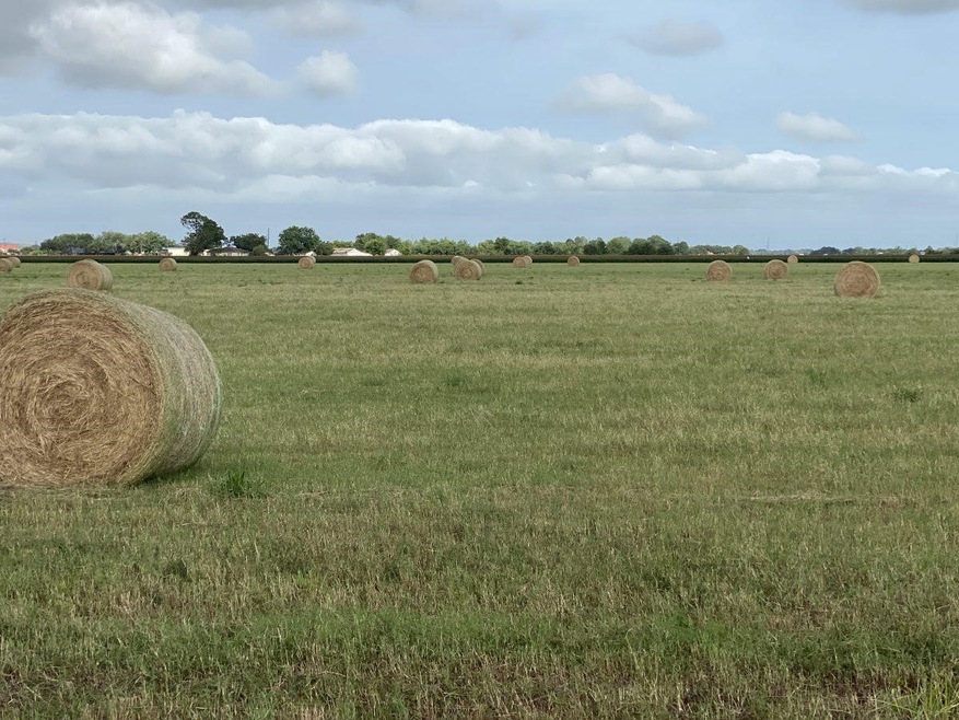 00 Padon Rd, Needville, TX 77461 - photo 1