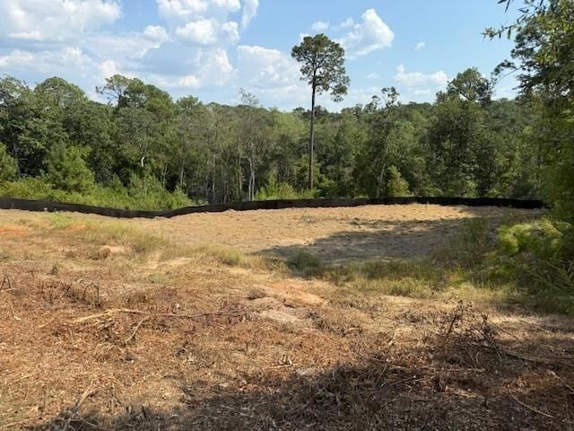 8319 Pine Run, Daphne, AL 36527 - photo 1