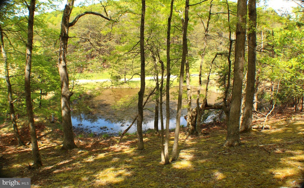 28 Ewing Dr, Capon, WV 26801 - photo 1