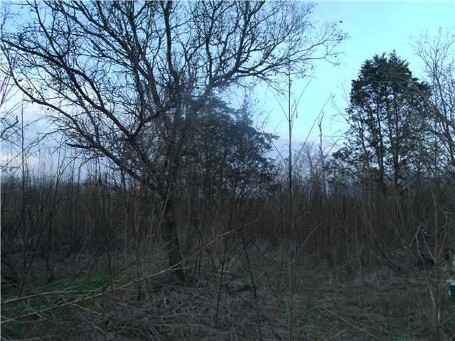 Land/Lot