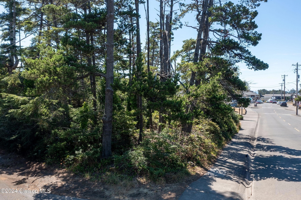 2-web-or-mls-DJI_0228-HDR