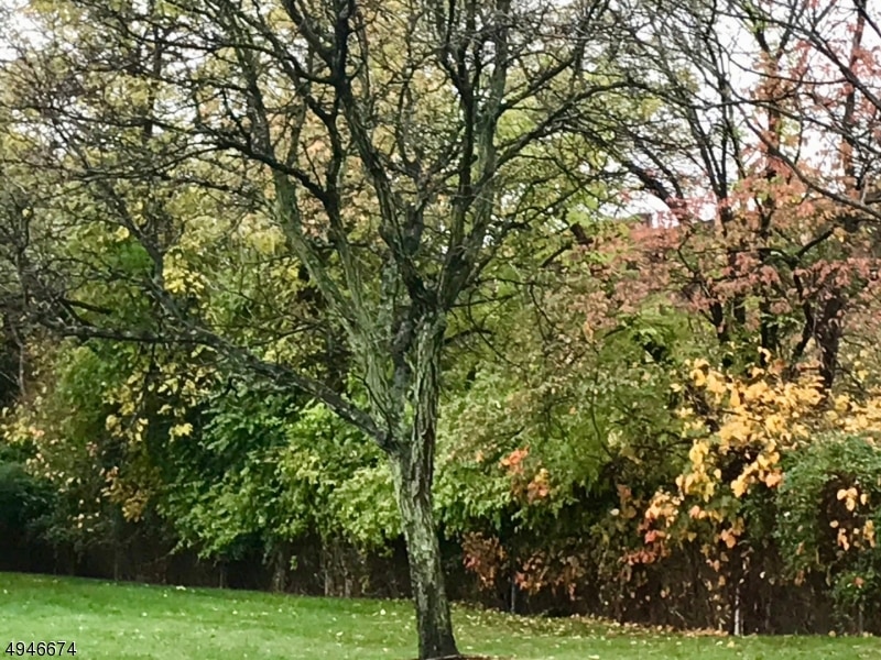 703 Cricket Ln unit 8, Woodbridge, NJ 07095 - photo 1