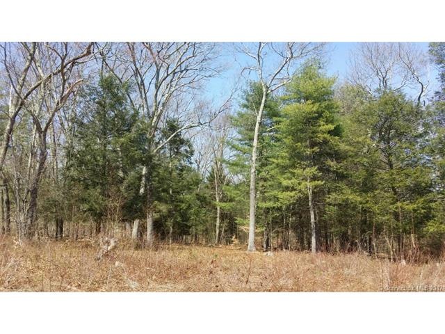 49 Mains Crossing, North Stonington, CT 06359 - photo 1