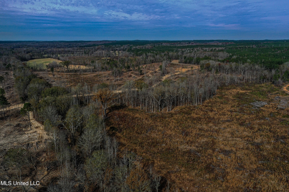 001 Alva Rd, Tomnolen, MS 39744 - photo 1