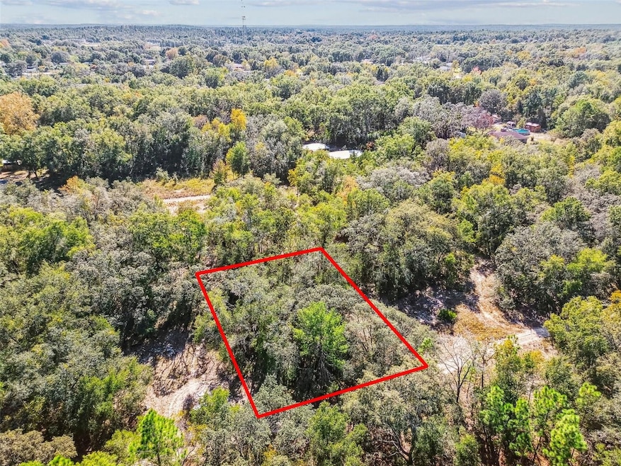 2903 Tyler St, Inverness, FL 34453 - photo 1