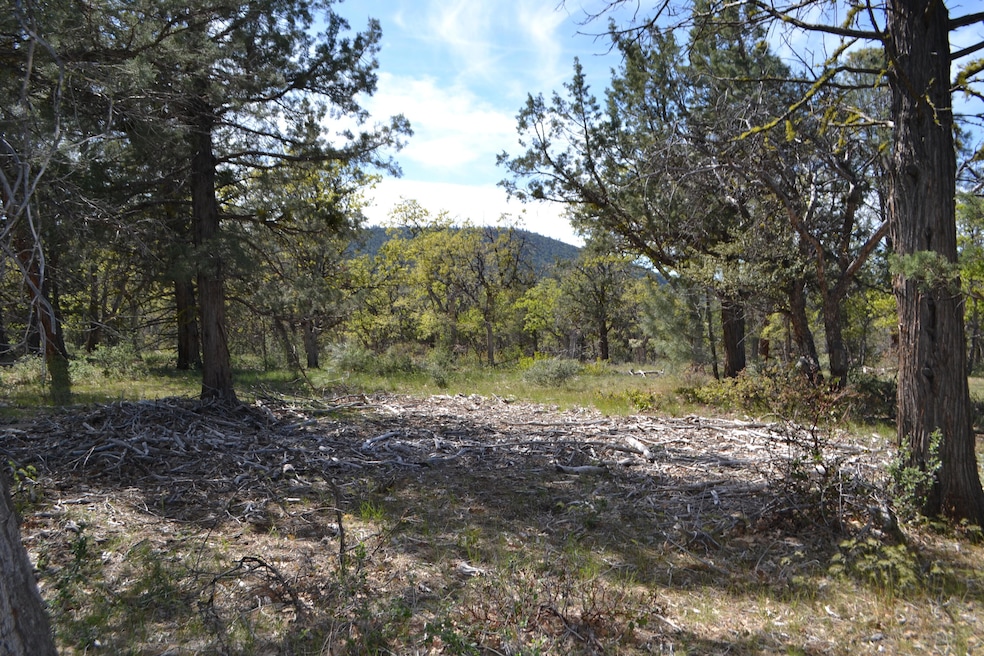 Sold $26,000 • Co-Listing Agent