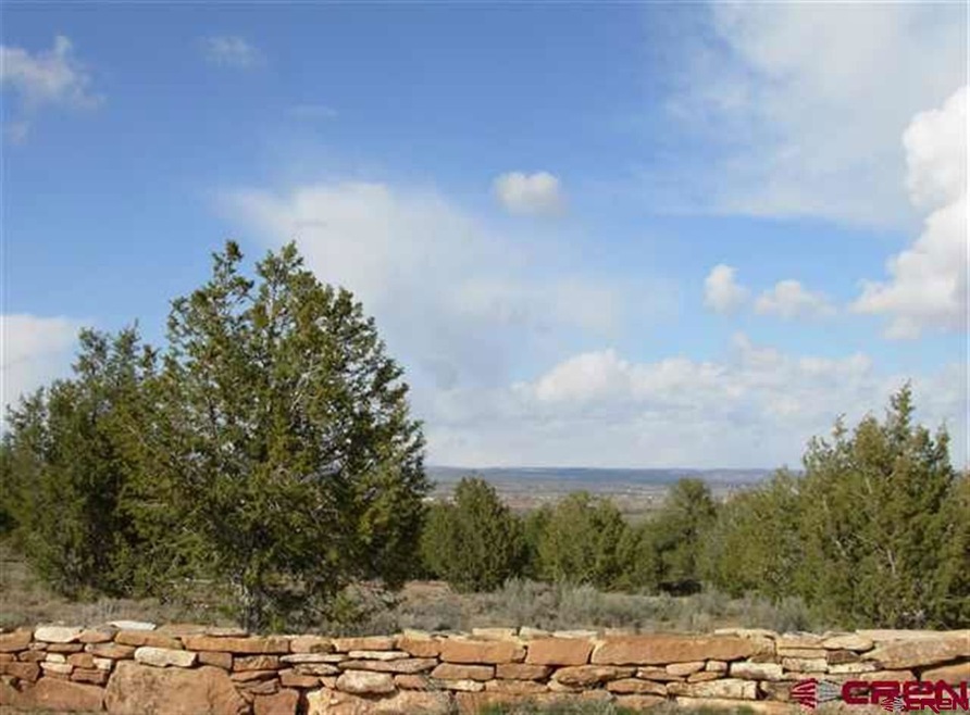 0 Road 21 9 unit 689350, Cortez, CO 81321 - photo 1