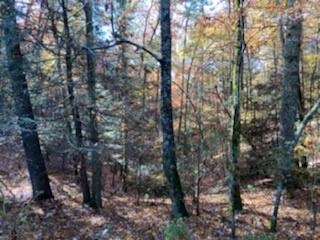 00 S Whitepath Cir, Ellijay, GA 30540 - photo 1