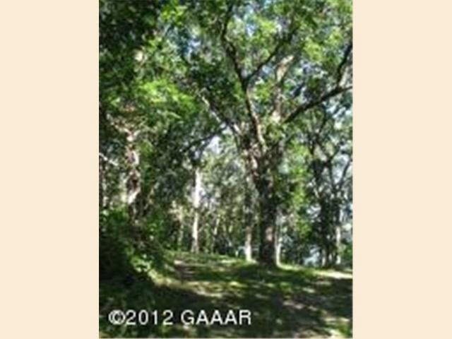 2825 Doe Run Ln SW, Farwell, MN 56327 - photo 1