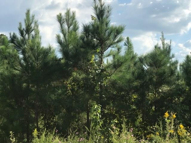 0 Willie Bowen Rd unit 1585673, Other, GA 31516 - photo 1