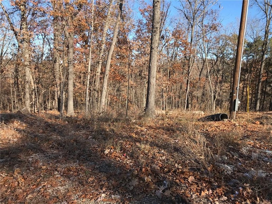 0 Ford Ln, Bella Vista, AR 72714 - photo 1