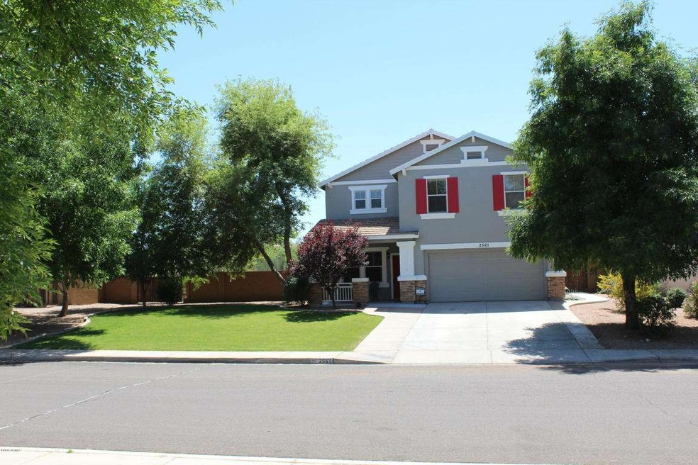 Grass Front Yard