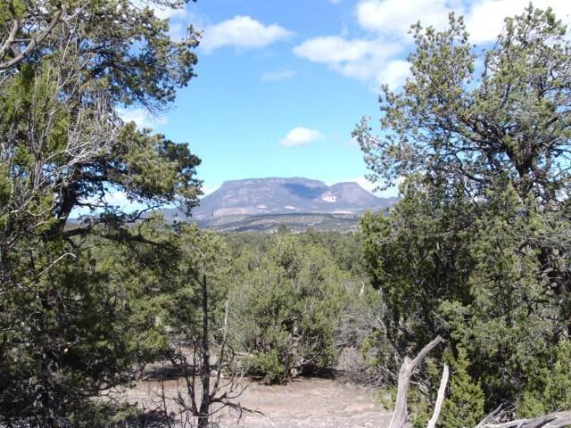 Lot 43 Morningstar Dr, Datil, NM 87821 - photo 1