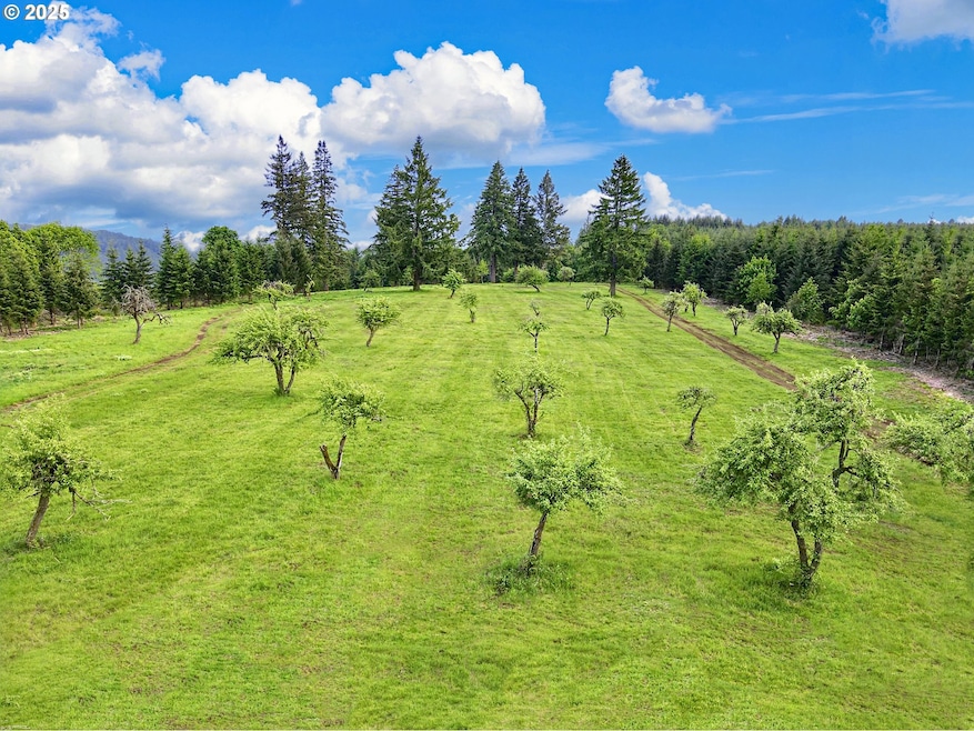 11892 Dupee Valley Rd, McMinnville, OR 97128 - photo 1