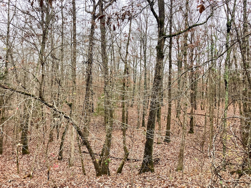 000 U S 160, Sycamore, MO 65760 - photo 1