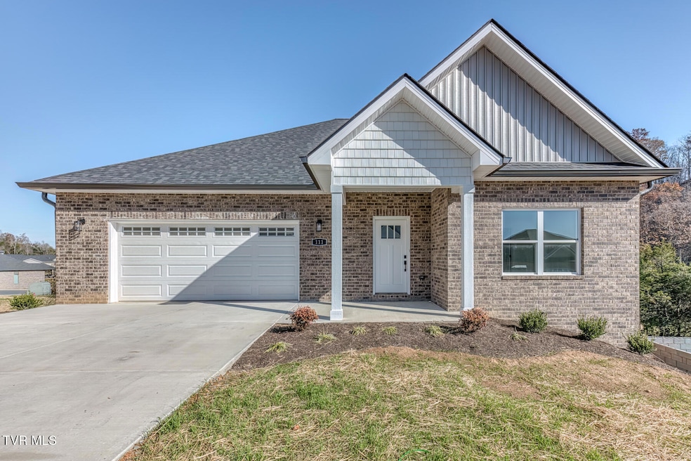 111 Quiet Stroll Ln, Gray, TN 37615 - photo 1