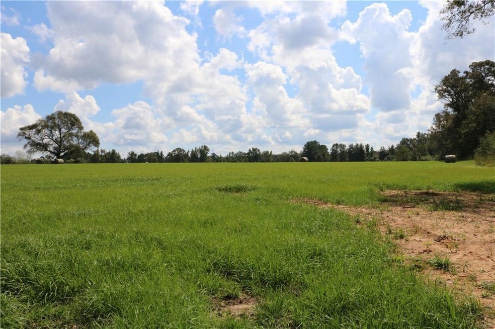 Lot 10 Zack Magee Rd, Franklinton, LA 70438 - photo 1