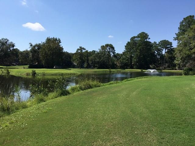 1175 Sea Palms West Dr, St. Simons Island, GA 31522 - photo 1