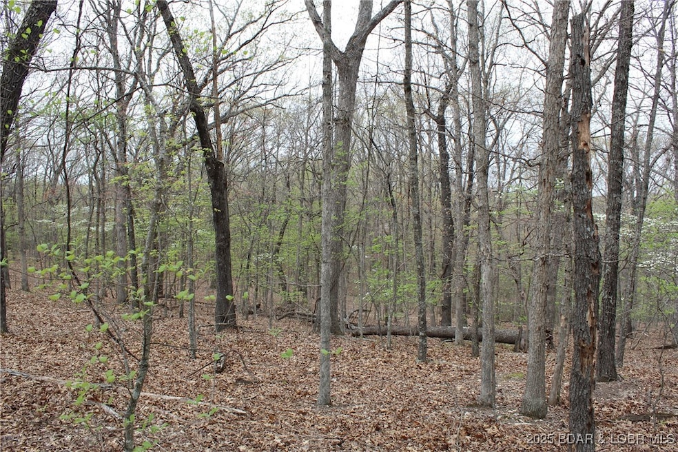 A slice of the outdoors, just minutes from the lak