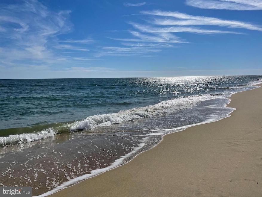 332 Forsythia Ct unit D, Bethany Beach, DE 19930 - photo 1