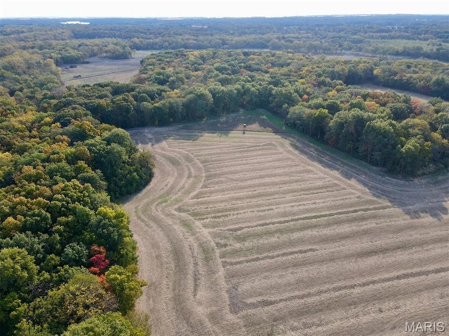 00 Union Grove Ave, Lagrange Township, IL 62246 - photo 1