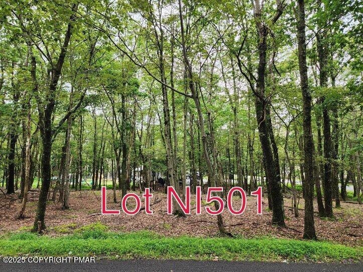 Lot NI501 Shawnee Trail & Highpoint Dr, Albrightsville, PA 18210 - photo 1
