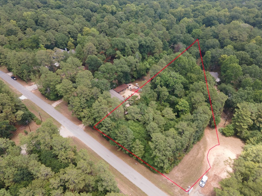 22051 Schneider Cir, Hockley, TX 77447 - photo 1