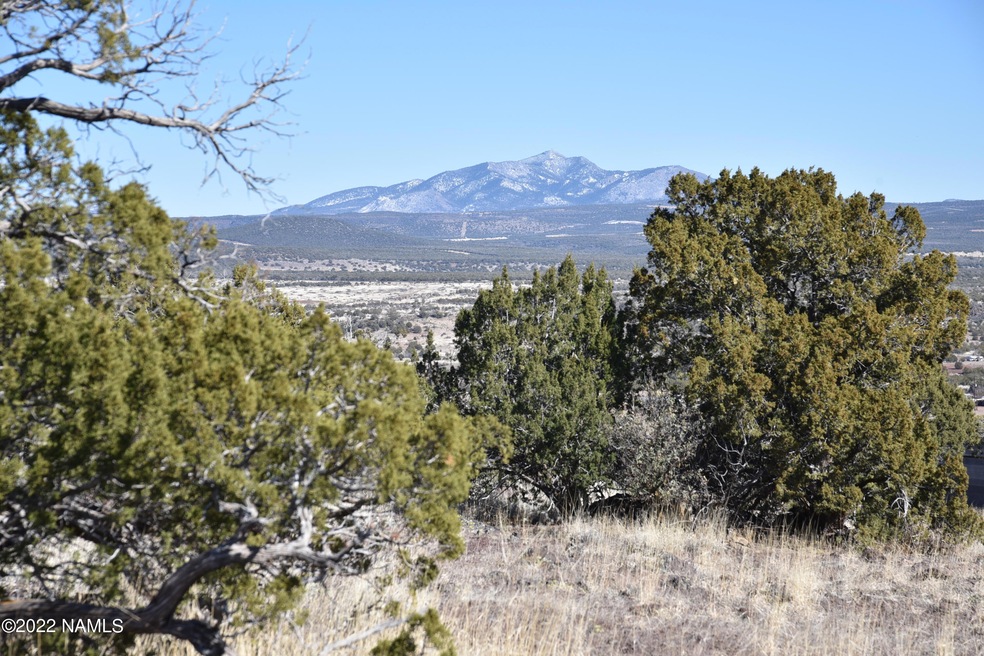 30219004b N Francis Ln, Ash Fork, AZ 86320 - photo 1