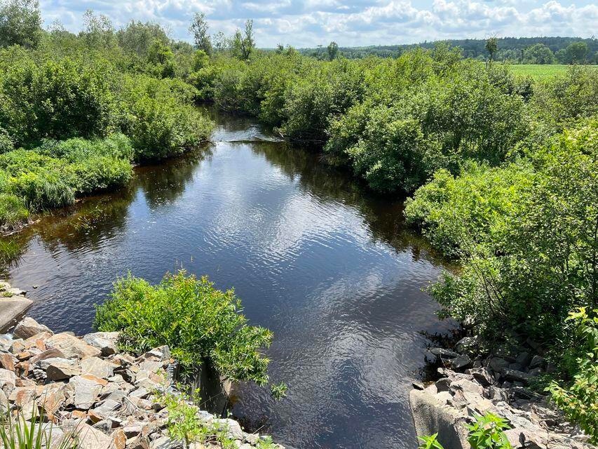 Brown Brook