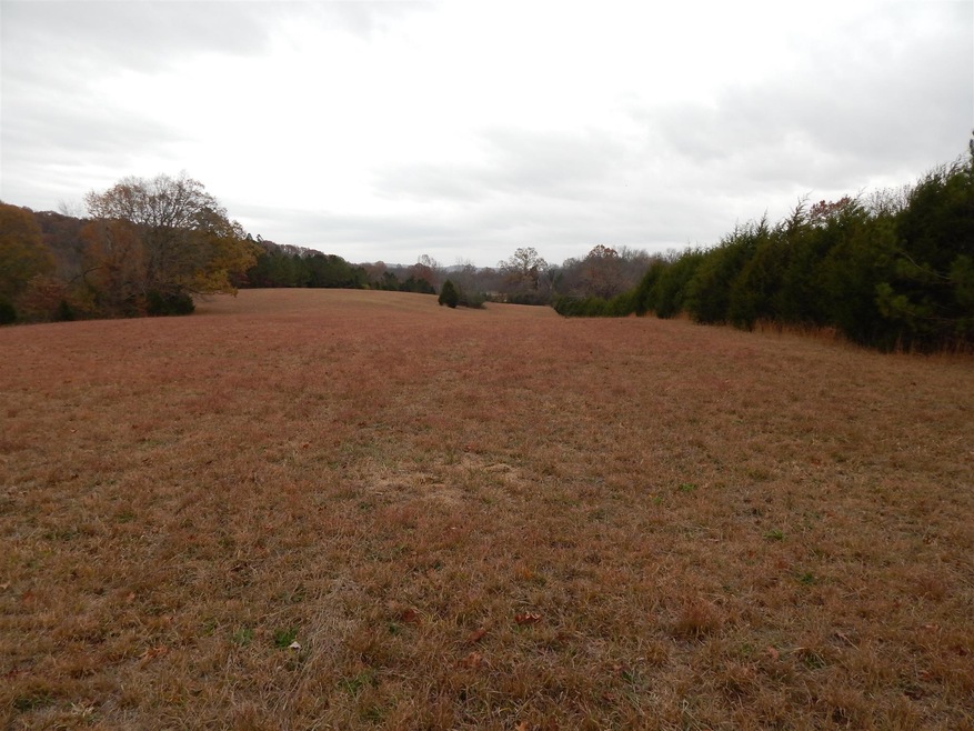 0 Liberty-Prospect Rd unit 1783700, Prospect, TN 38477 - photo 1