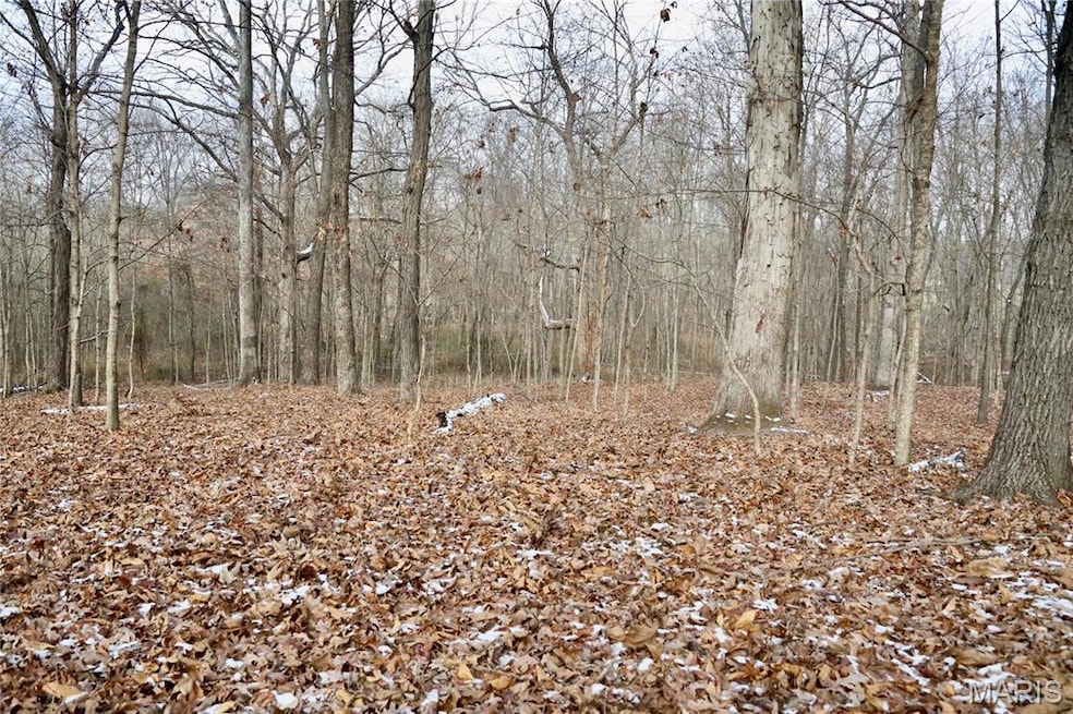 00 N Maysville Ln, Mount Vernon, IL 62864 - photo 1