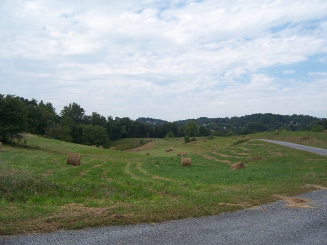 Main View