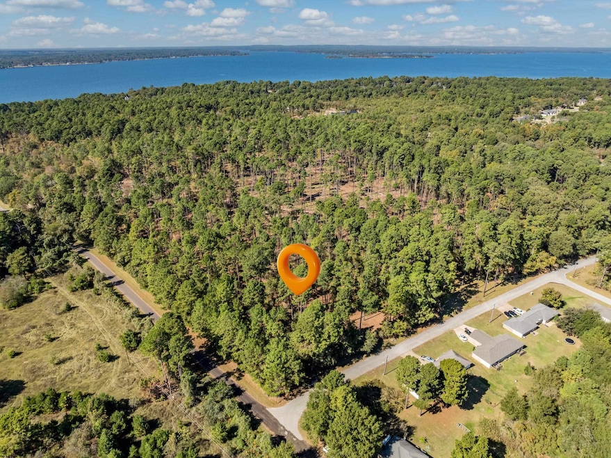 0, Flint, TX 75762 - photo 1