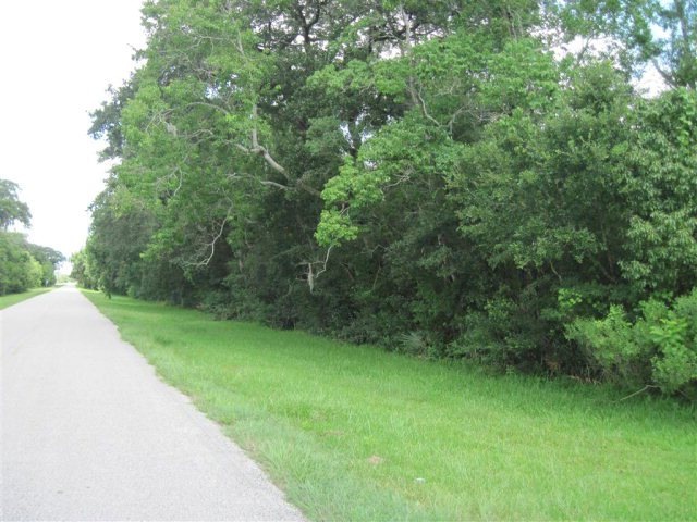 0 County Road 244 unit 52292, Brazoria, TX 77422 - photo 1