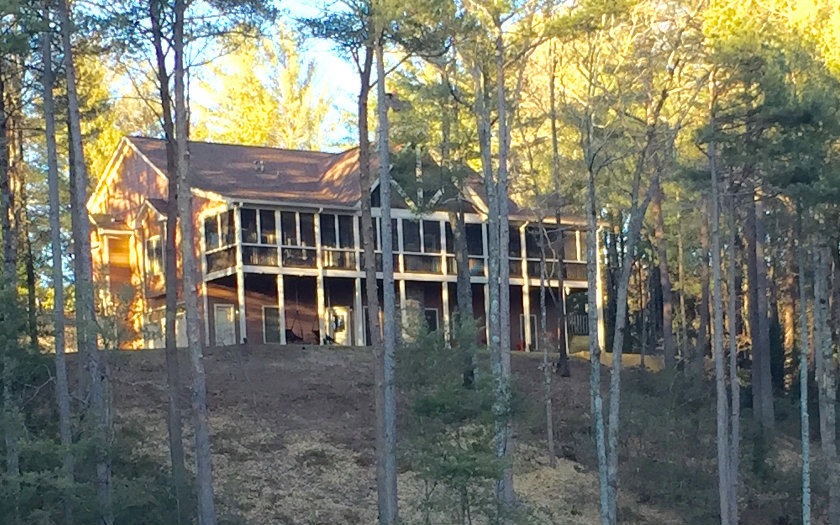 Main View