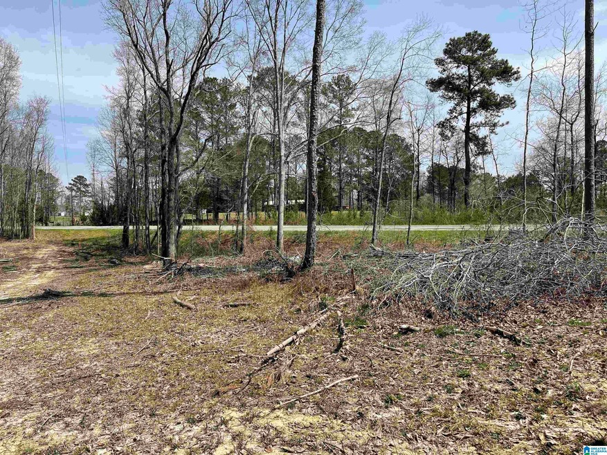 0 County Road 30 unit 4 Acres 1315566, Roanoke, AL 36274 - photo 1