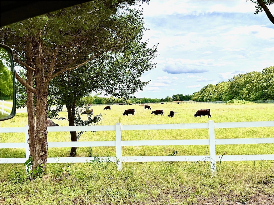 Looking at pasture from the road